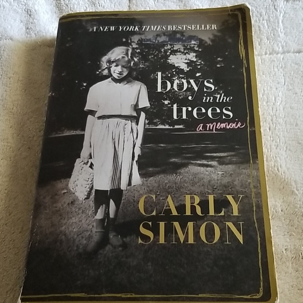 Boys in the trees a memoir